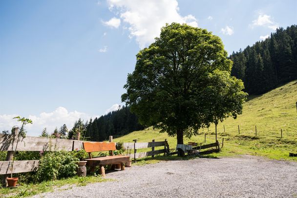 Die Herzberg Alpe liegt auf 1.200 m Höhe