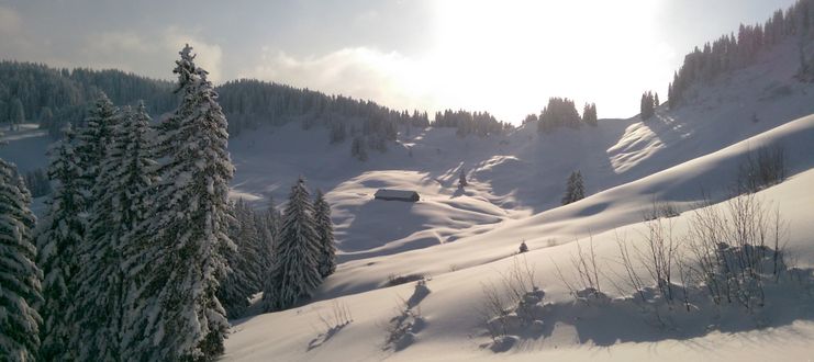 Winterwandern Burgl-Hütte - Balderschwang