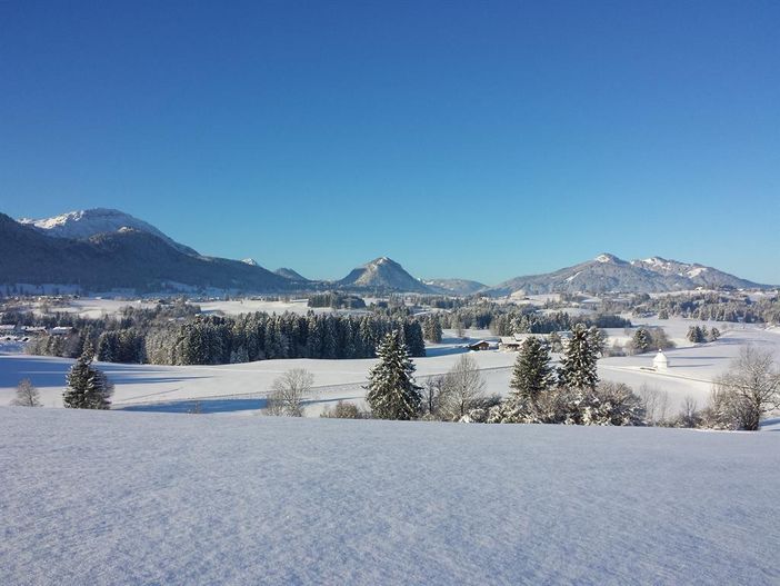 Winterpanorama im Schlosspark