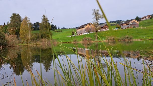 Von Lingenau auf den Rotenberg – Enkeltaugliche Wanderung in wunderschöner Kulturlandschaft