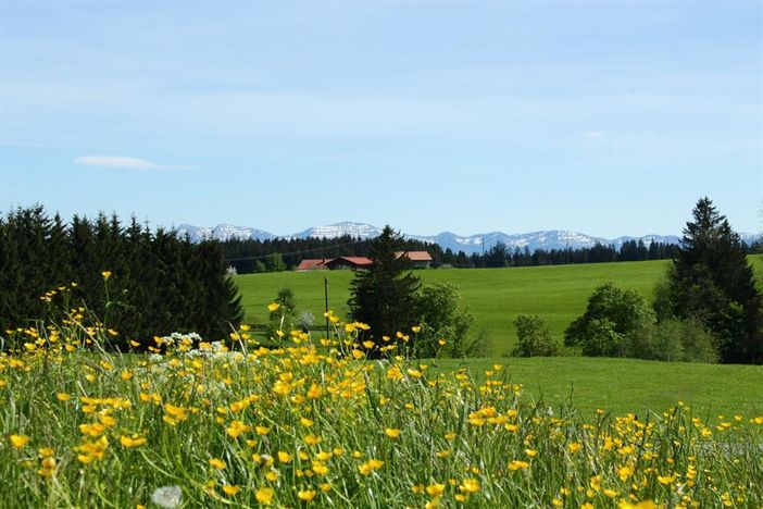 Allgäu Ferienhof Schönberger