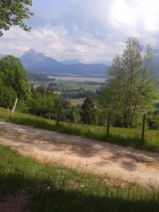 Wanderweg am Beichelstein