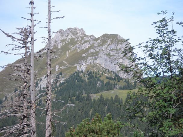 Blick zum Aggenstein und Bad Kissinger Hütte