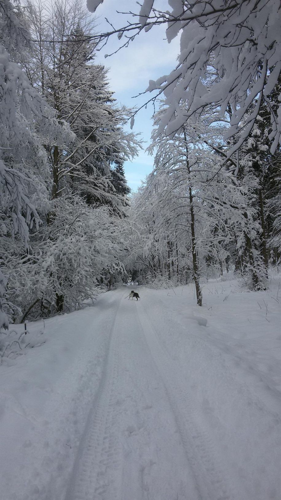 Wenns mal Richtig Winter ist bei uns