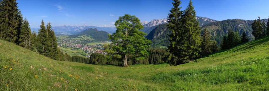 Pfronten Panorama