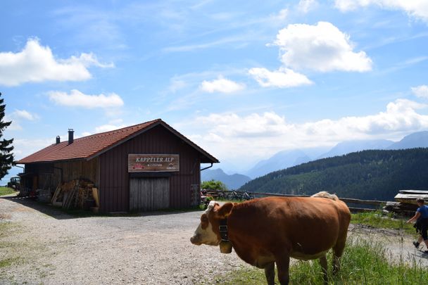 Kappeler Alp