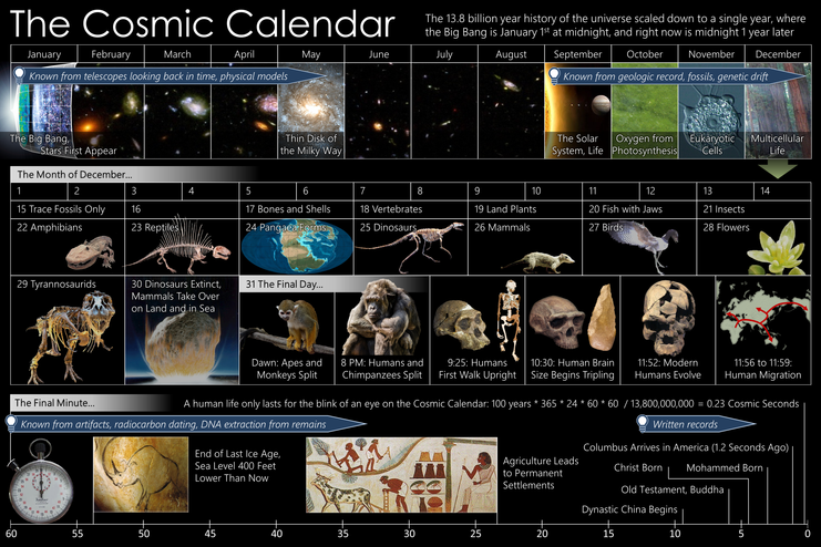 Cosmic_Calendar