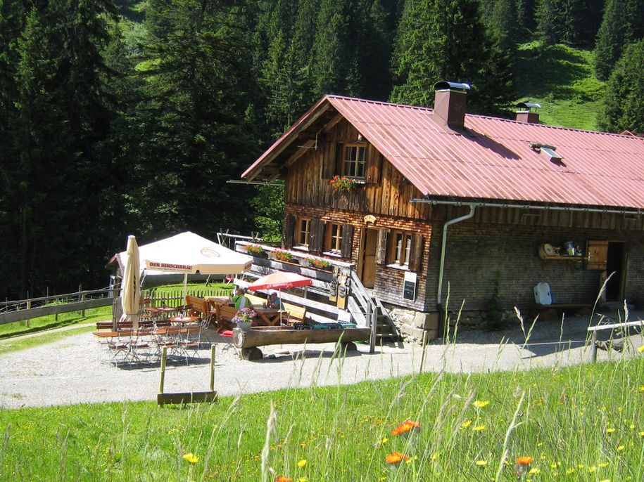 Sommerausflug zur Alpe Bolgen