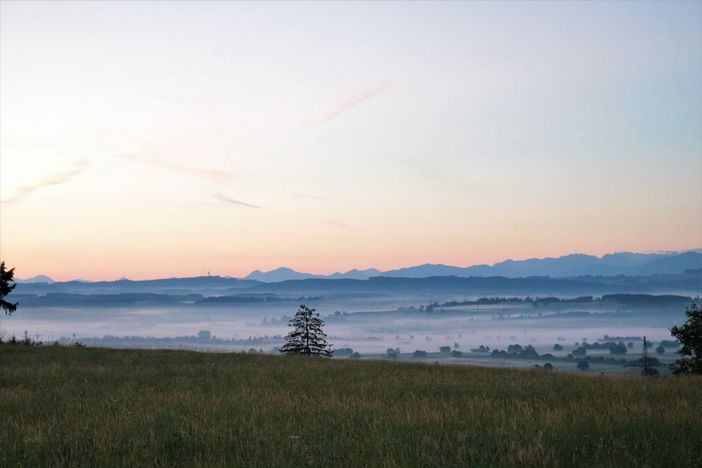 panoramanebelmorgens