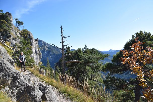 Etwas ausgesetzte Stelle auf dem Weg zum Tegelberg