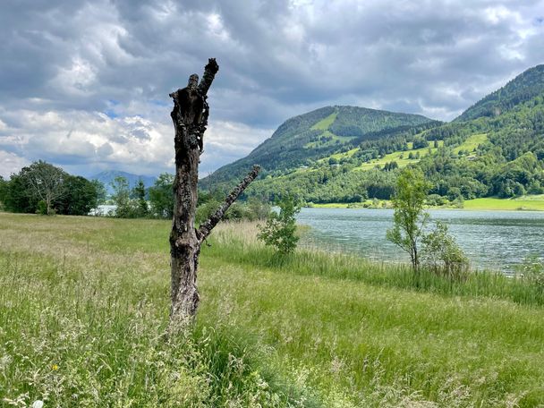 Radeln entlang des Großes Alpsees