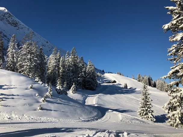 Edenalpe-Nesselwängle