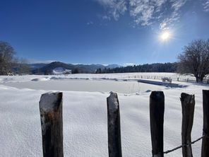 Natur-Pool im Winterkleid