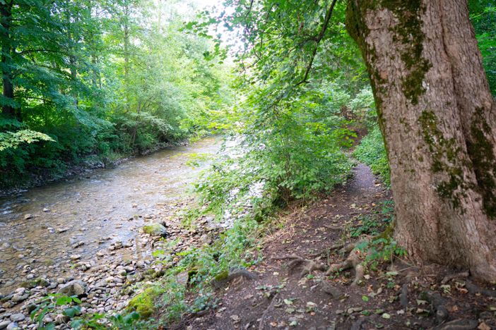 Weg "Gassirunde" entlang der Starzlach