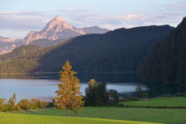 Die Seenlandschaft im Schlosspark