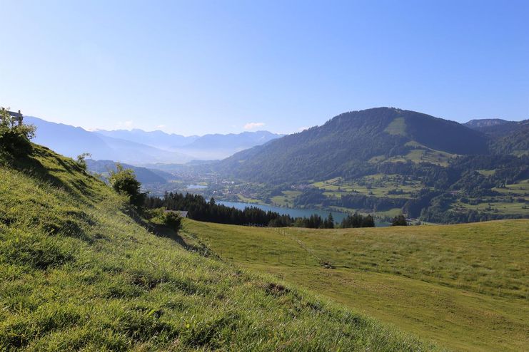 Blick_auf_den_Alpsee