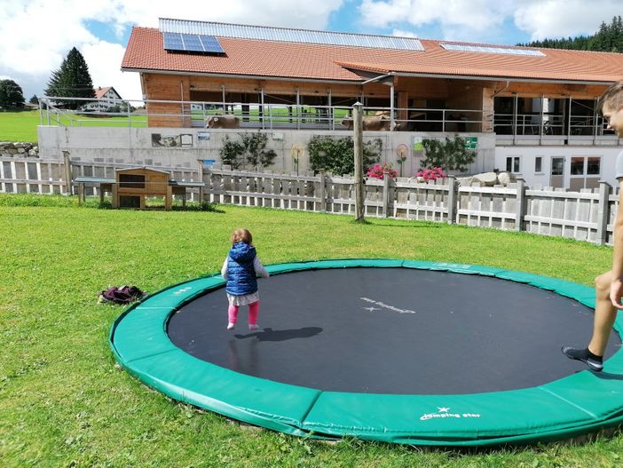 Trampolin hüpfen mit Kuhblick