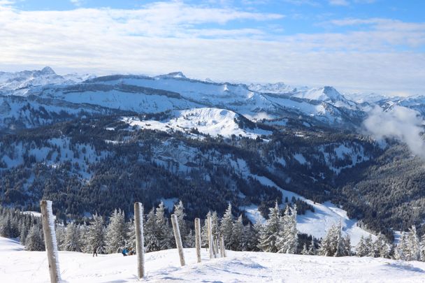 Von Grasgehren auf's Riedbergerhorn (1.787m)