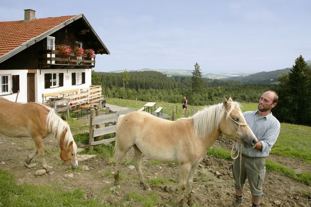 Vordere Kölle Alpe