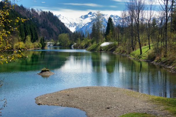 Auwaldsee im Frühling