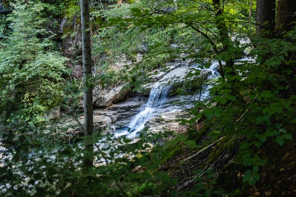 BierGenussWanderweg - Route 5 "Von Kranzegg auf den Grüntengrat"