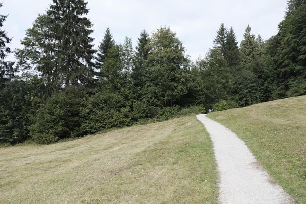 Alpsee-Rundweg kurz vor dem Strandbad