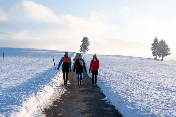 Winterwandern bei Buflings