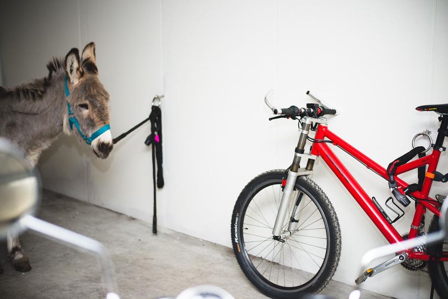 Fahrrad Sicherungssysteme