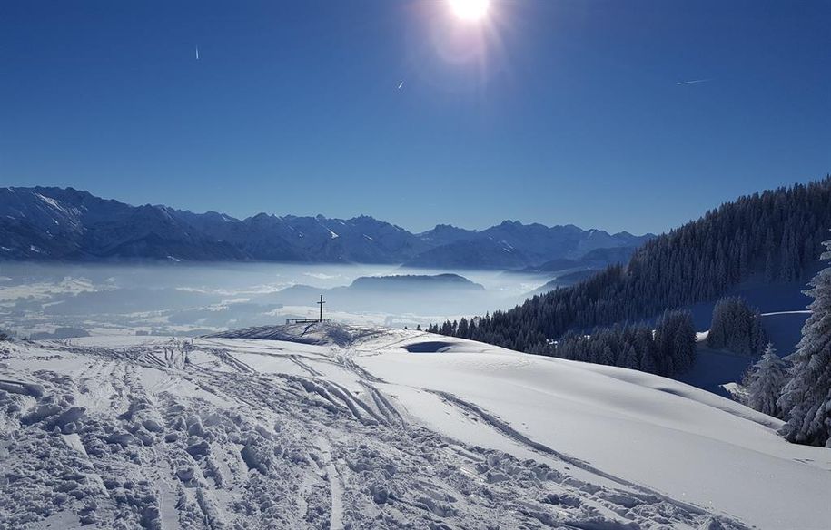 Blick auf Ofterschwanger Horn und Oberstdorf