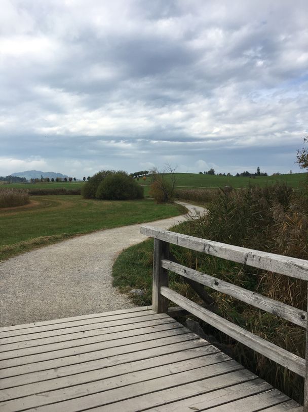 Brücke am Hopfenseerundweg