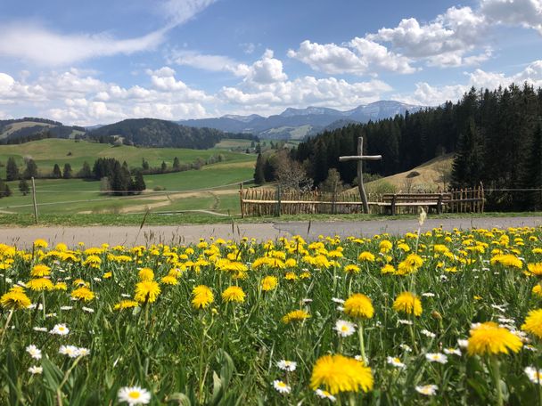 Westallgäuer Frühling