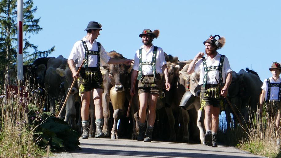 Viehscheid Mittelalpe