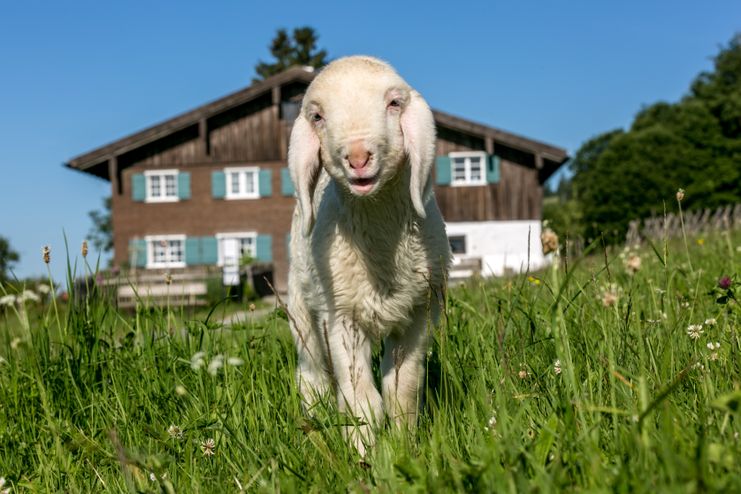 Ostern im Bergbauernmuseum