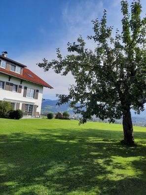 Hauseck mit Apfelbaum