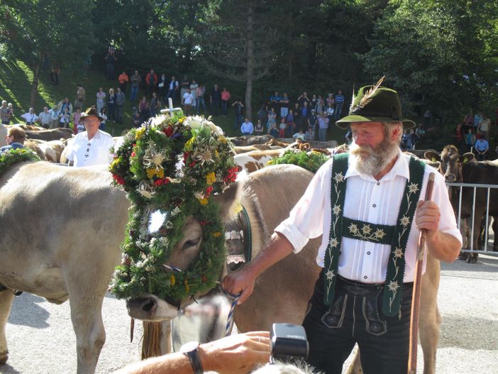 Nesselwanger Viehscheid