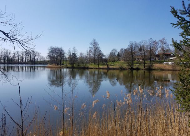 Badesee Großweiher bei Röhrenmoos