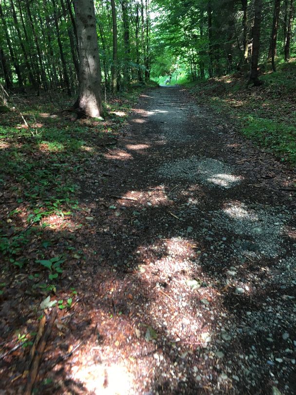 Fußweg vom Alatsee nach Bad Faulenbach