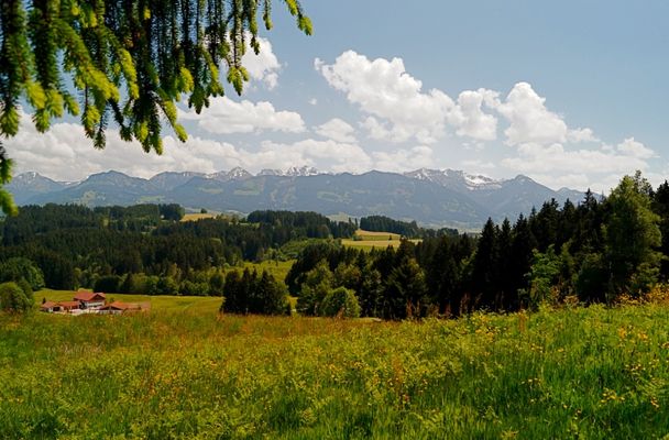 Blick auf die Sonnenköpfe