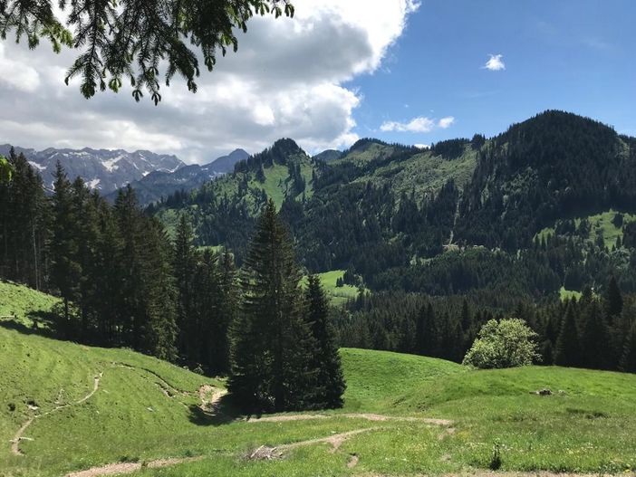 Wanderweg zur Straußbergalpe