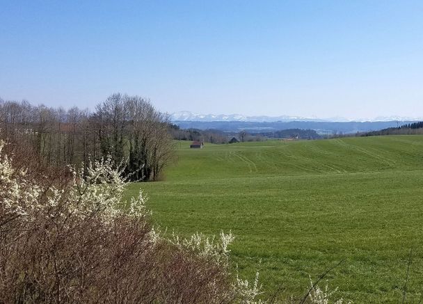 Aussicht vor Humbrechts