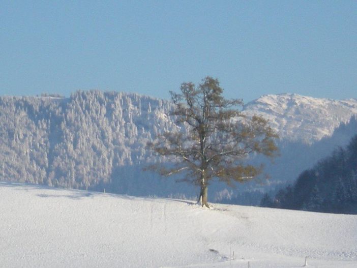 Winterlandschaft 2