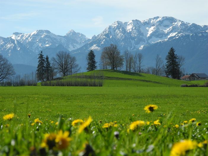 Frühling im Allgäu