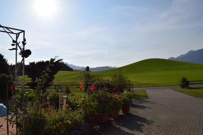 Blumen vor dem Haus, Gästehaus Steinacher