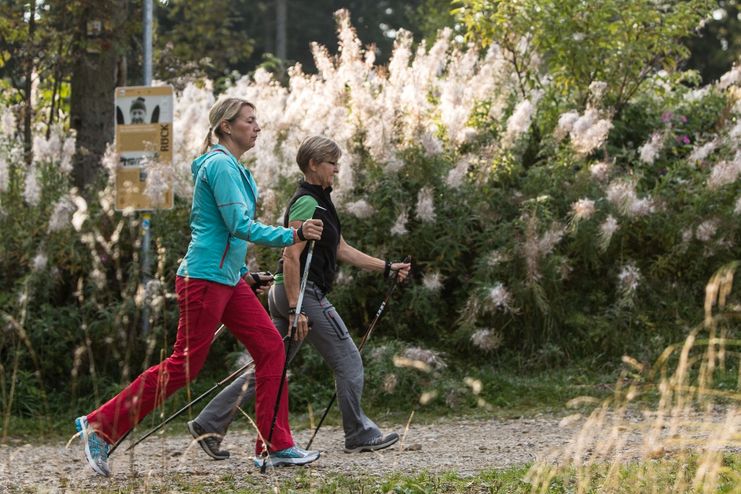 Nordic Walking auf dem Schwarzen-Grat-Trail