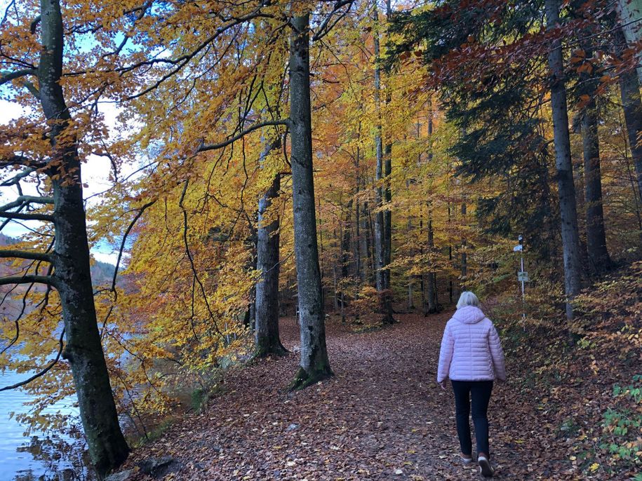 Farbenprächtiger Herbst-Spaziergang