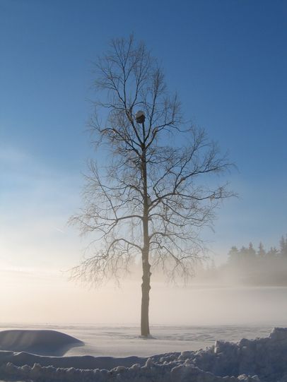 Winterlandschaft im Allgäu