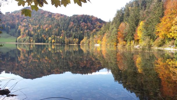 Alatsee in bunter Farbenpracht