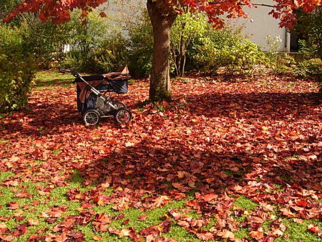 Der Herbst spielt mit tollen Farben im Garten Wassermann