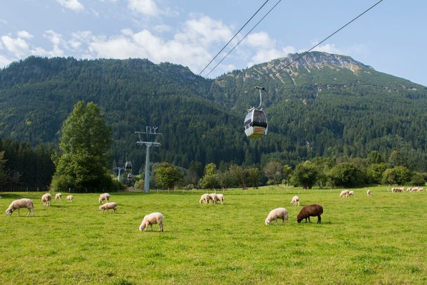 Mit der Breitenbergbahn bequem auf den Pfrontener Hausberg gondeln