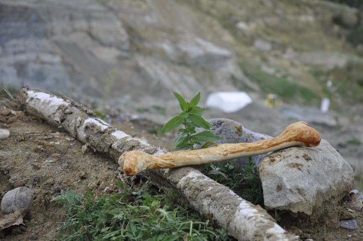 Udo Knochen vor der Tongrube Hammerschmiede